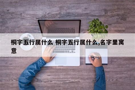 桐 五行|桐字五行属什么